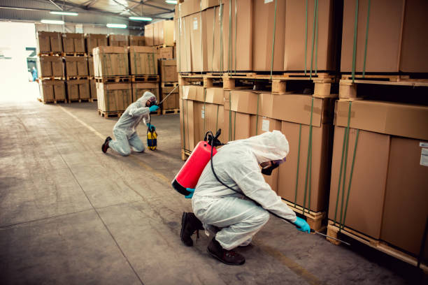 Best Emergency Pest Control  in Freeport, NY