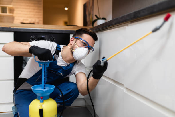 Best Residential Pest Control  in Freeport, NY