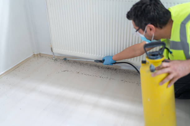 Professional Pest Control in Freeport, NY